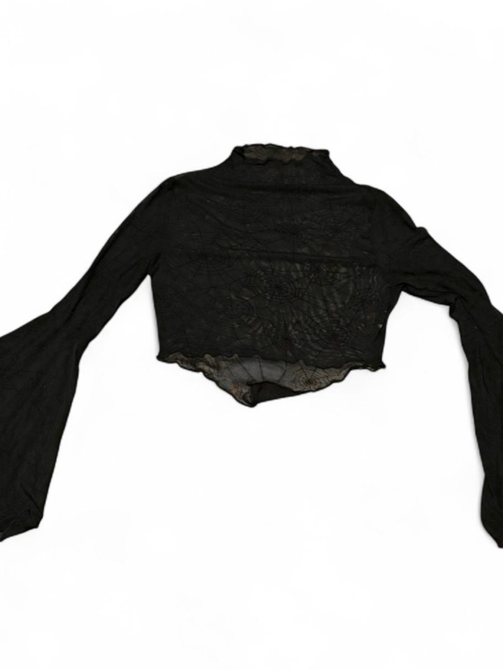 Spiderweb Sheer Long-Sleeve Cropped Top